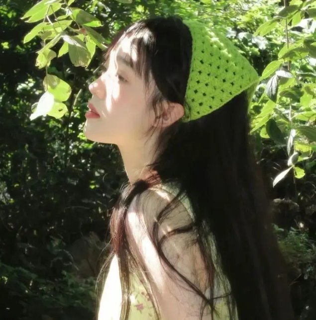 毛毛虫波罗